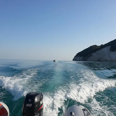 Matinee Маттината
