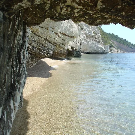 Matinee Маттината