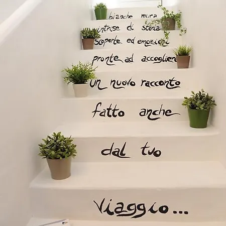 Matinee 3* マッティナータ