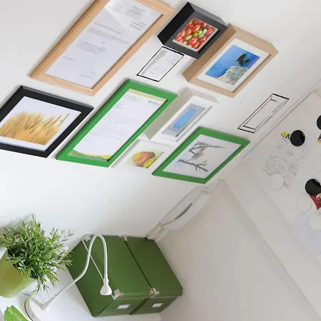 Matinee 3* Mattinata