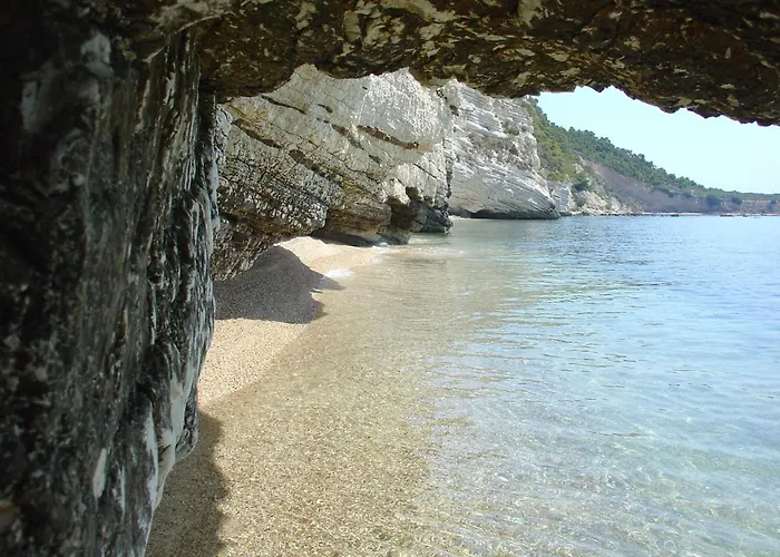 Matinee マッティナータ